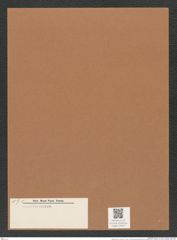 Skeletonema sp. (de-Toni-Nr.: Genus 191) Zeichnungen Sammlung Grunow Mappe 04617 (Herbarium_W_Grunow_drawings_Folder_04617)